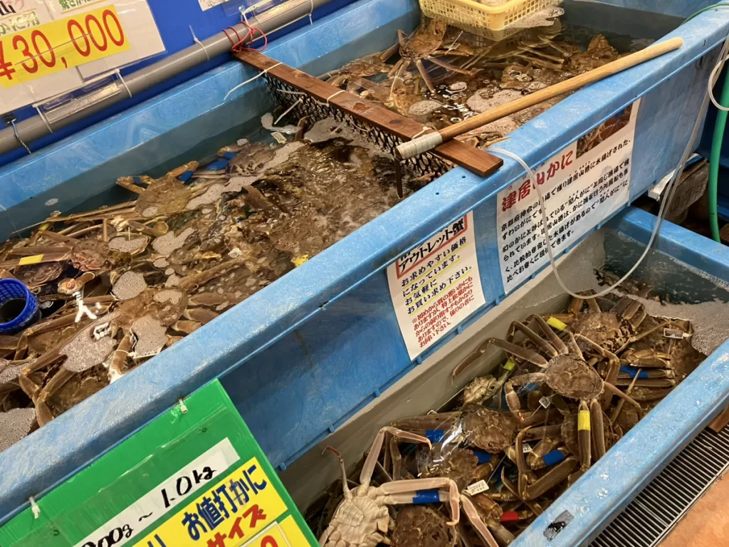城崎温泉 蟹 カニ
