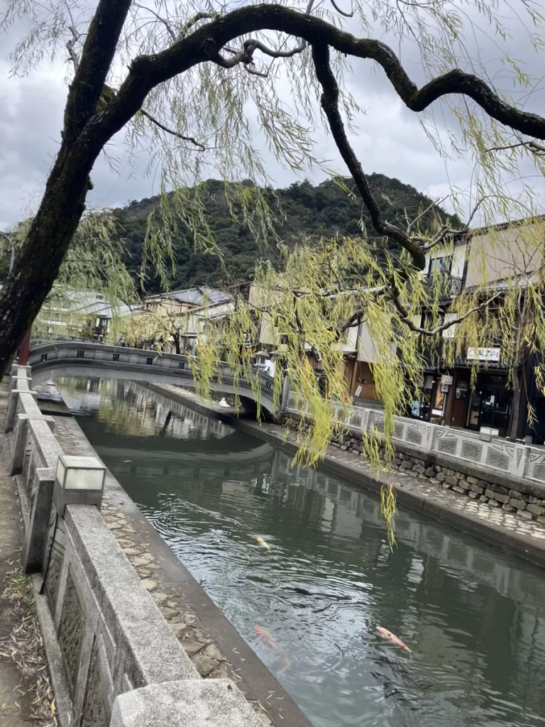 城崎温泉 昼 雨 冬